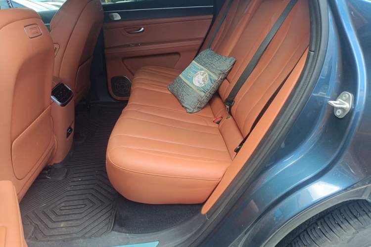 Used Hima AITO M7 2024 1.5T Intelligent Drive Rear-Drive Ultra Version 5 Seats Left Rear Seat