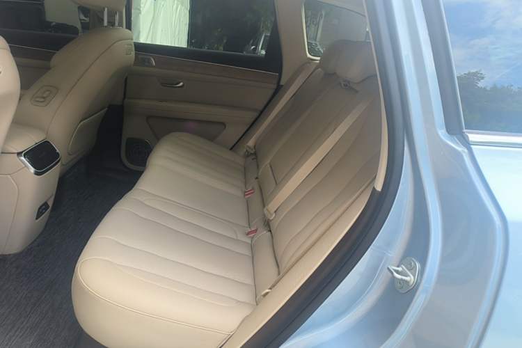 Used Hima AITO M7 2024 1.5T Intelligent Driving Rear-Drive Max Edition 5 Seats Left Rear Seat