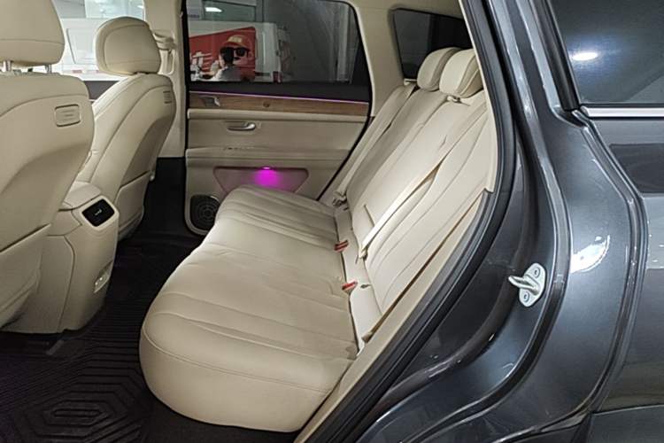 Used Hima AITO M7 2024 1.5T Rear-Drive Plus Version 5 Seats Left Rear Seat
