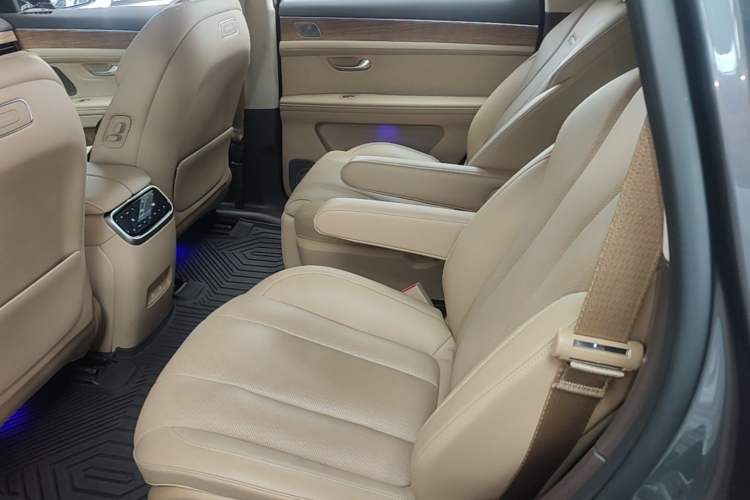 Used Hima AITO M7 2024 1.5T Intelligent Driving Rear-Drive Max Edition 6 Seats Left Rear Seat