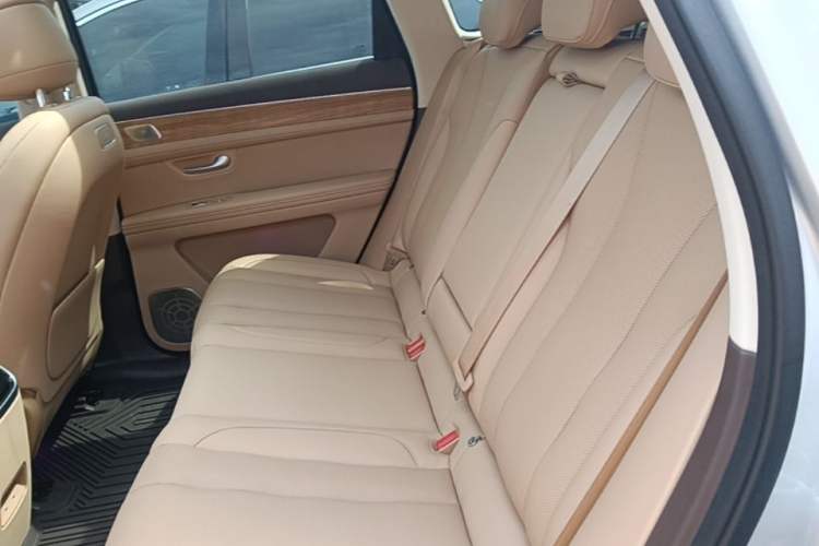 Used Hima AITO M7 2024 1.5T Intelligent Driving Rear-Drive Max Edition 5 Seats Left Rear Seat
