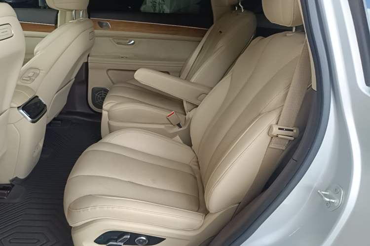 Used Hima AITO M7 2024 1.5T Intelligent Driving Rear-Drive Max Edition 6 Seats Left Rear Seat