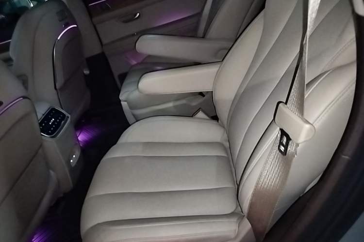 Used Hima AITO M7 2024 1.5T Intelligent Drive 4x4 Max Edition 6 Seats Left Rear Seat