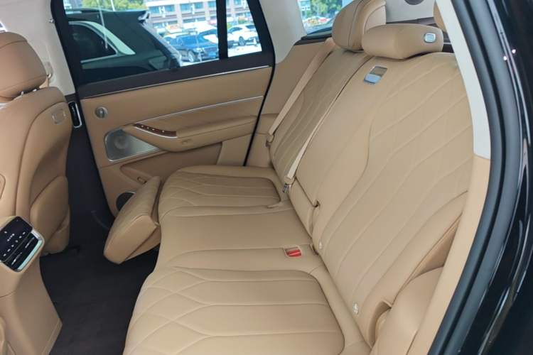 Used Hima AITO M8 2025 Extended-Range Max+ Version 53.4 kWh 5-Seater Edition Left Rear Seat