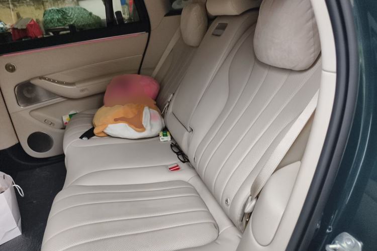 Used Hima AITO M8 2025 Extended-Range Max+ Version 53.4 kWh 5-Seater Edition Left Rear Seat