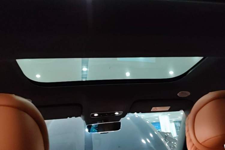 Used Hima AITO M9 2024 Range-Extended Max Edition 42 kWh 6-Seater Version Headliner