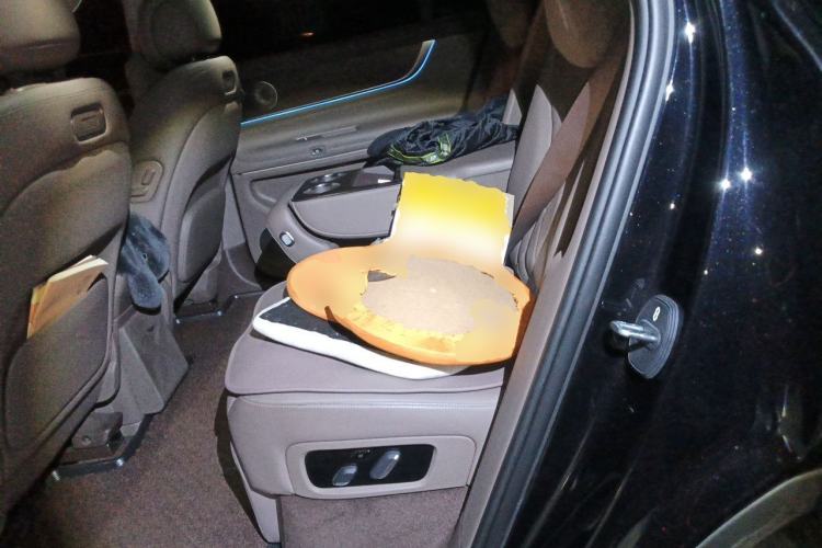 Used Hima AITO M9 2024 Range-Extended Ultra Version 52 kWh 5-Seater Model Left Rear Seat