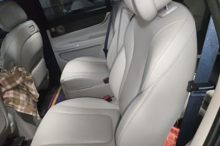 Used Hima AITO M9 2024 Range-Extended Ultra Version 42 kWh 6-Seater Model Left Rear Seat