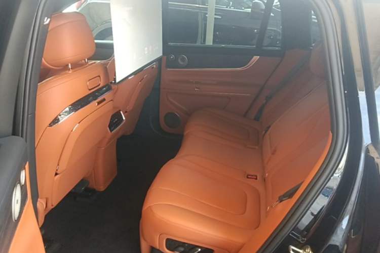 Used Hima AITO M9 2024 All-Electric Ultra Version 100 kWh 5-Seater Model Left Rear Seat