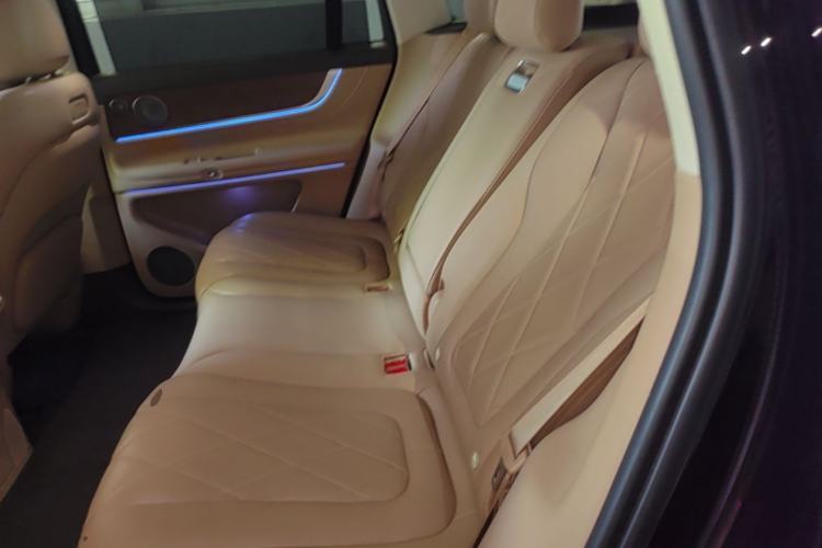 Used Hima AITO M9 2024 Range-Extended Ultra Version 52 kWh 5-Seater Model Left Rear Seat