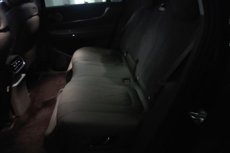 Used Hima AITO M9 2024 Range-Extended Ultra Version 52 kWh 5-Seater Model Left Rear Seat