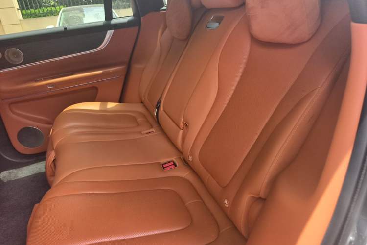 Used Hima AITO M9 2024 Range-Extended Max Edition 42 kWh 5-Seater Version Left Rear Seat