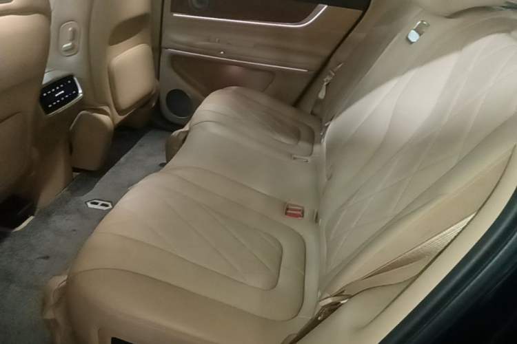 Used Hima AITO M9 2024 All-Electric Ultra Version 100 kWh 5-Seater Model Left Rear Seat