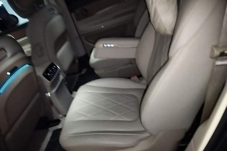 Used Hima AITO M9 2024 Range-Extended Max Edition 42 kWh 6-Seater Version Left Rear Seat