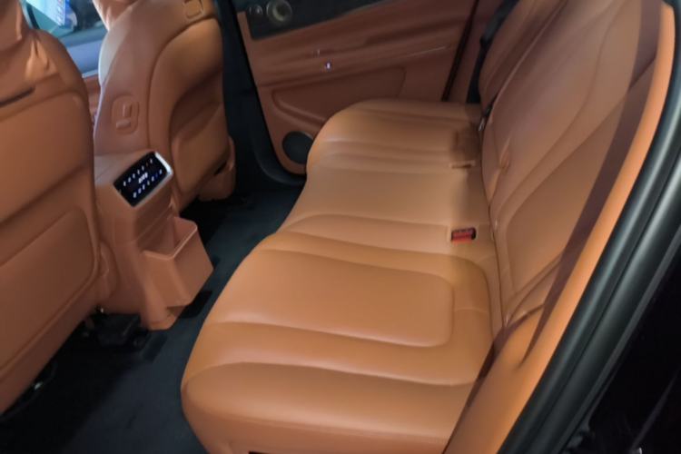 Used Hima AITO M9 2024 Range-Extended Ultra Version 52 kWh 5-Seater Model Left Rear Seat