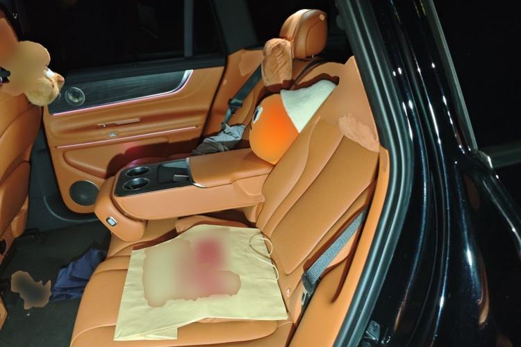Used Hima AITO M9 2024 Range-Extended Ultra Version 52 kWh 5-Seater Model Left Rear Seat