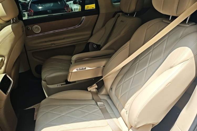 Used Hima AITO M9 2024 Range-Extended Ultra Version 42 kWh 6-Seater Model Left Rear Seat