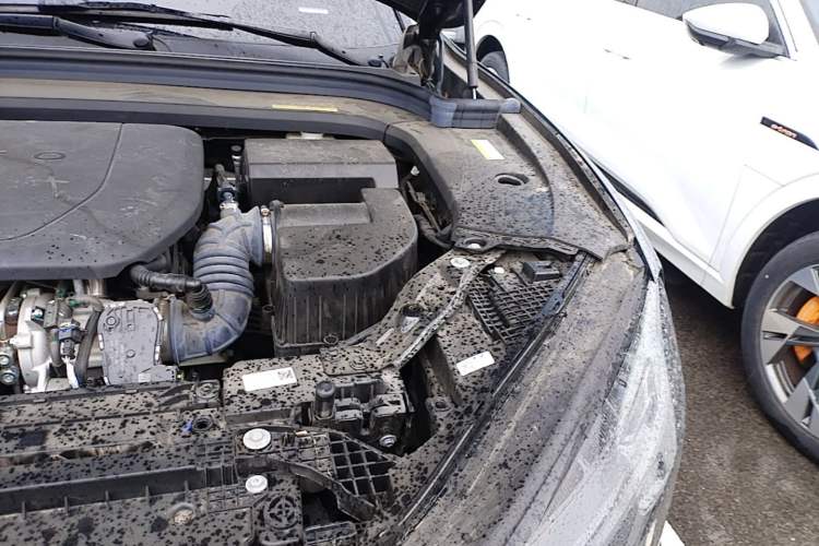 Used Hima AITO M9 2024 Range-Extended Ultra Version 52 kWh 5-Seater Model Engine Bay Left