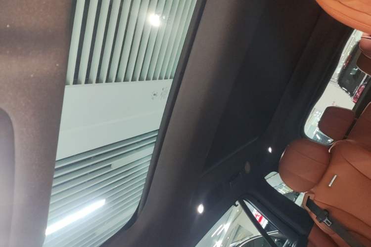 Used Hima AITO M9 2024 Range-Extended Max Edition 42 kWh 6-Seater Version Headliner