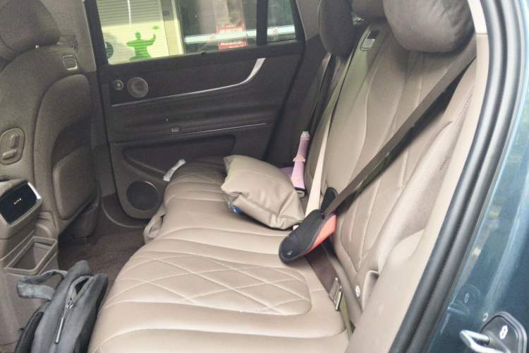 Used Hima AITO M9 2024 Range-Extended Ultra Version 52 kWh 5-Seater Model Left Rear Seat
