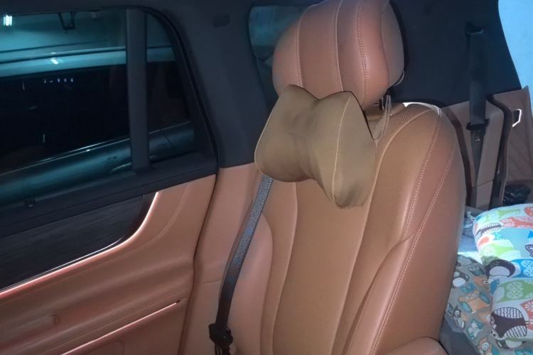 Used Hima AITO M9 2024 Range-Extended Ultra Version 42 kWh 6-Seater Model Left Rear Seat