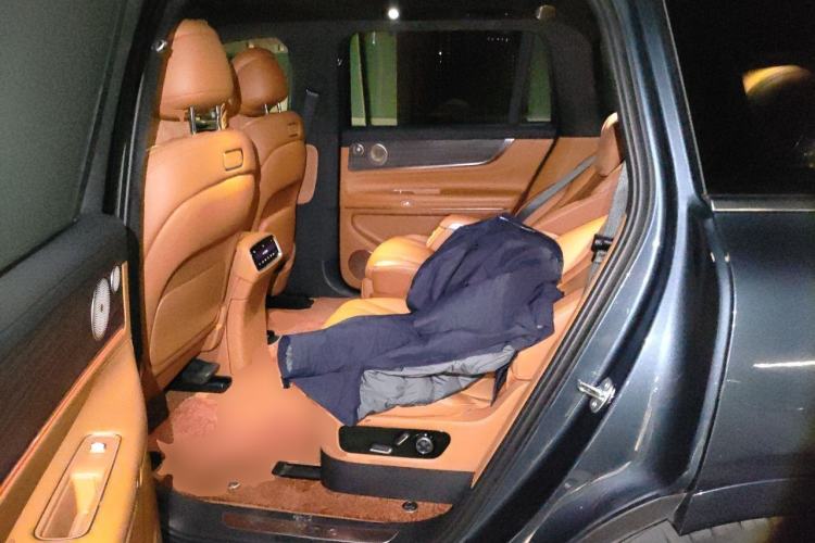 Used Hima AITO M9 2024 Range-Extended Max Edition 42 kWh 6-Seater Version Left Rear Seat