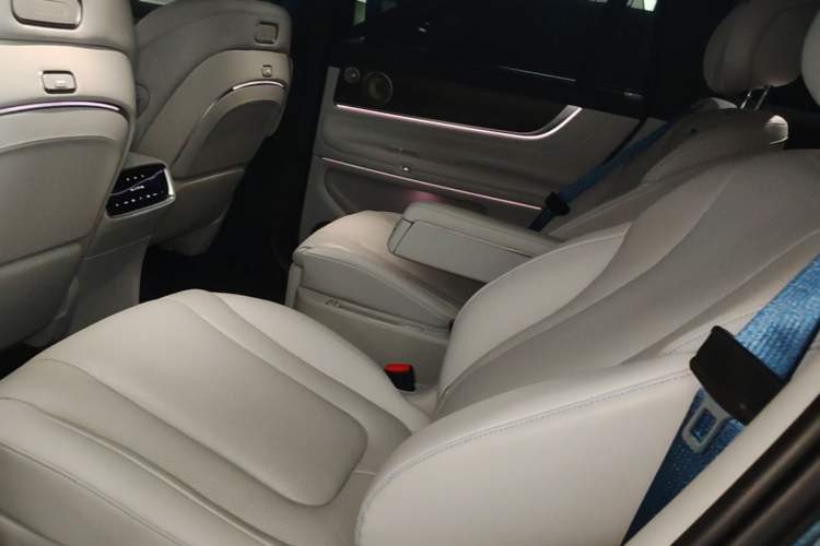 Used Hima AITO M9 2024 Range-Extended Ultra Version 42 kWh 6-Seater Model Left Rear Seat