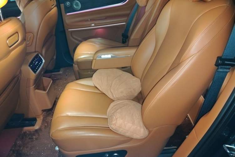 Used Hima AITO M9 2024 Range-Extended Ultra Version 42 kWh 6-Seater Model Left Rear Seat