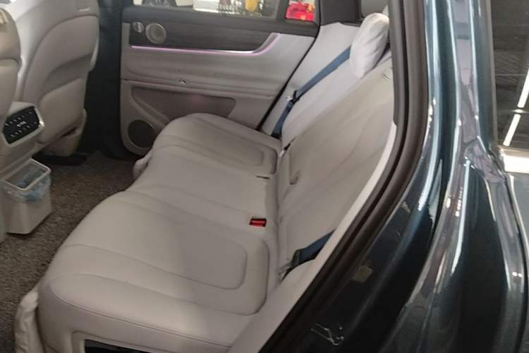 Used Hima AITO M9 2024 Range-Extended Ultra Version 52 kWh 5-Seater Model Left Rear Seat