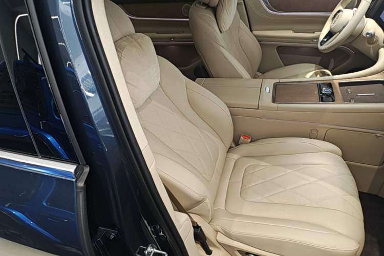Used Hima AITO M9 2024 Range-Extended Ultra Version 42 kWh 6-Seater Model Right Front Seat