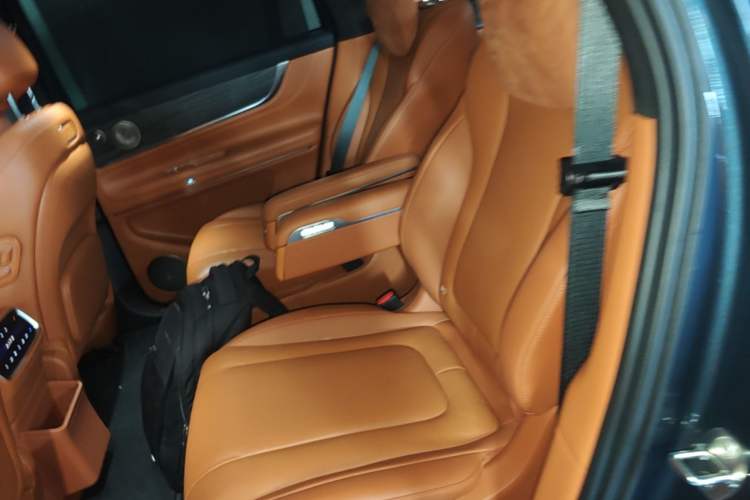 Used Hima AITO M9 2024 Range-Extended Ultra Version 42 kWh 6-Seater Model Left Rear Seat