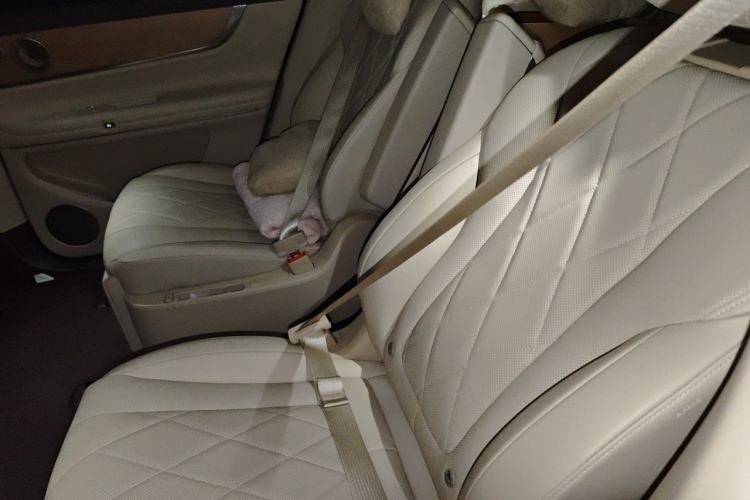Used Hima AITO M9 2024 Range-Extended Ultra Version 42 kWh 6-Seater Model Left Rear Seat