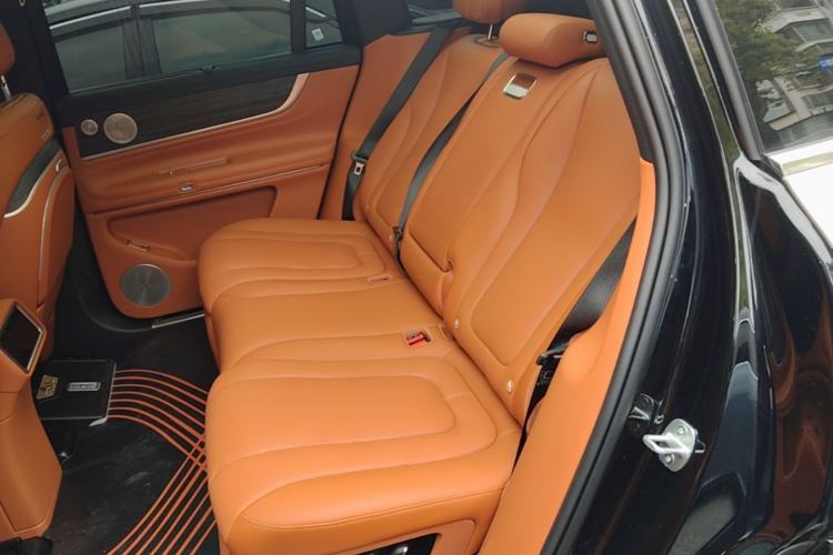 Used Hima AITO M9 2025 All-Electric Ultra Version 100 kWh 5-Seater Model Left Rear Seat