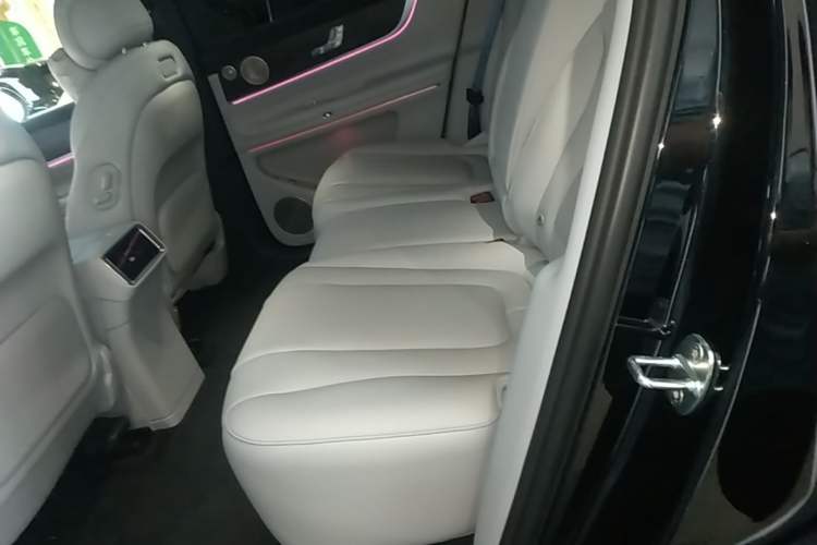 Used Hima AITO M9 2025 Extended-Range Ultra Version 52 kWh 5-Seater Edition Left Rear Seat