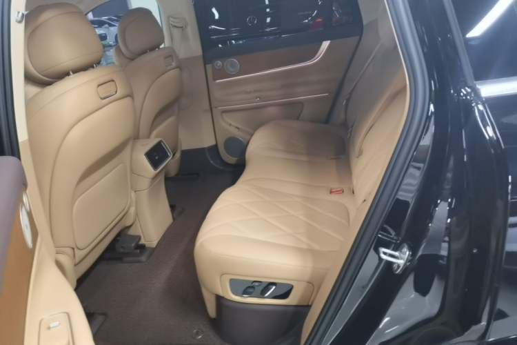 Used Hima AITO M9 2025 Extended-Range Ultra Version 52 kWh 5-Seater Edition Left Rear Seat
