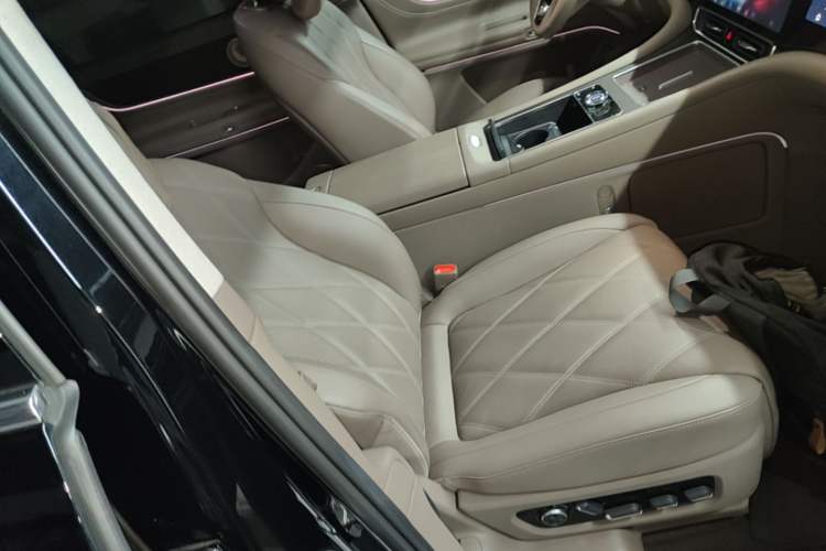 Used Hima AITO M9 2025 Extended-Range Ultra Version 52 kWh 5-Seater Edition Right Front Seat