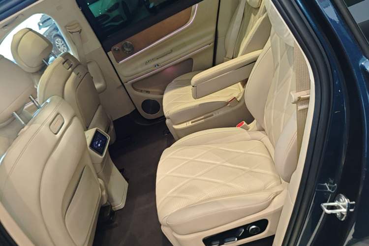 Used Hima AITO M9 2025 Extended-Range Ultra Version 52 kWh 6-Seater Left Rear Seat