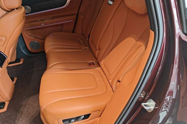 Used Hima AITO M9 2025 Extended-Range Max Version 52 kWh 5-Seater Edition Left Rear Seat