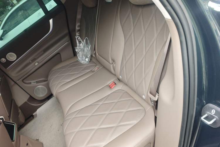 Used Hima AITO M9 2025 Extended-Range Ultra Version 52 kWh 5-Seater Edition Left Rear Seat