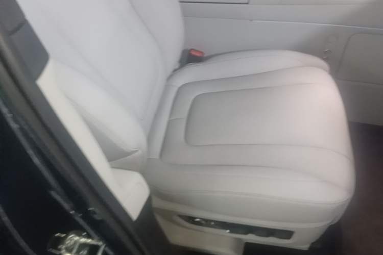 Used Hima AITO M9 2025 Model Range-Extended Max Edition 52kWh 6-seater (896-line LiDAR) Right Front Seat
