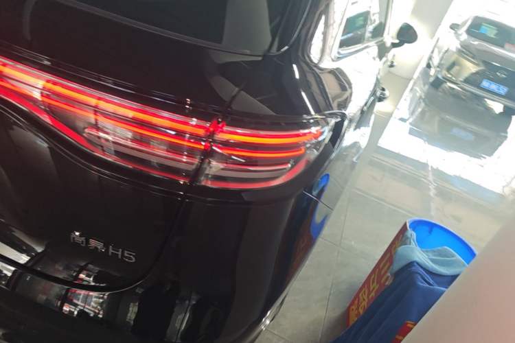 Used Hima H5 2025 Model Range-Extending Max Exterior 3