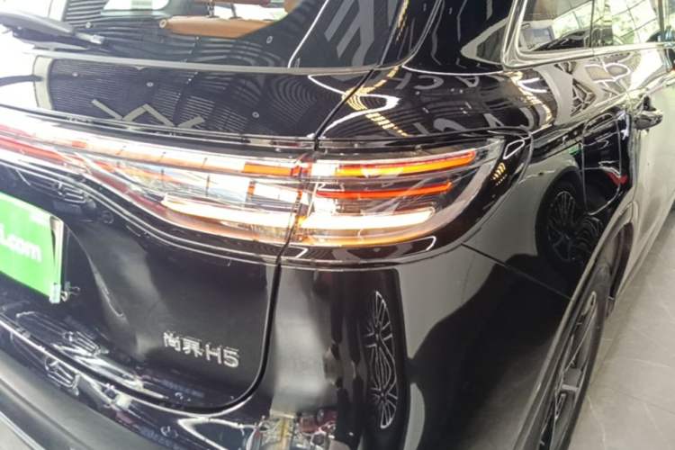 Used Hima H5 2025 Model Range-Extending Max Exterior 3