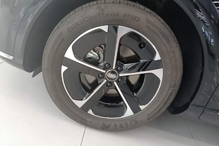 Used Hima H5 2025 Model Range-Extending Max Exterior 4