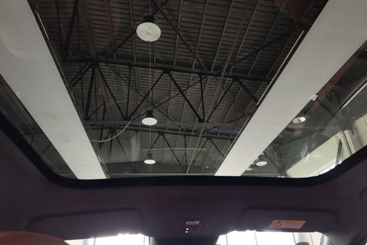 Used Hima H5 2025 Model Pure Electric Max Long Range Headliner