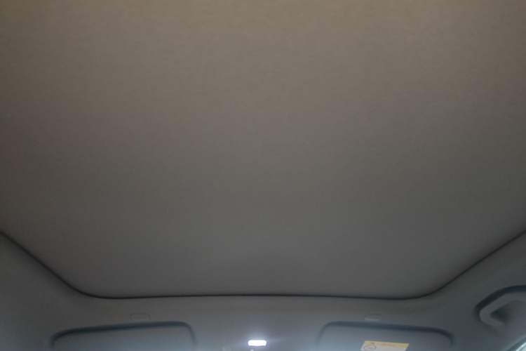Used Hima H5 2025 Model Pure Electric Max Long Range Headliner