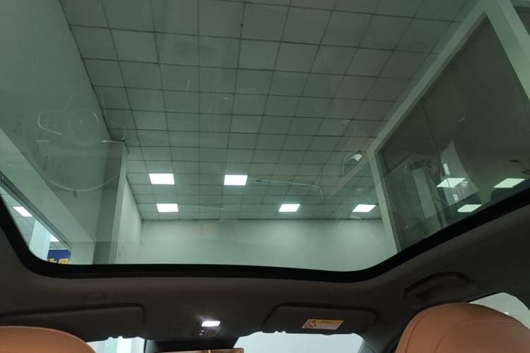 Used Hima H5 2025 Model Pure Electric Max Headliner