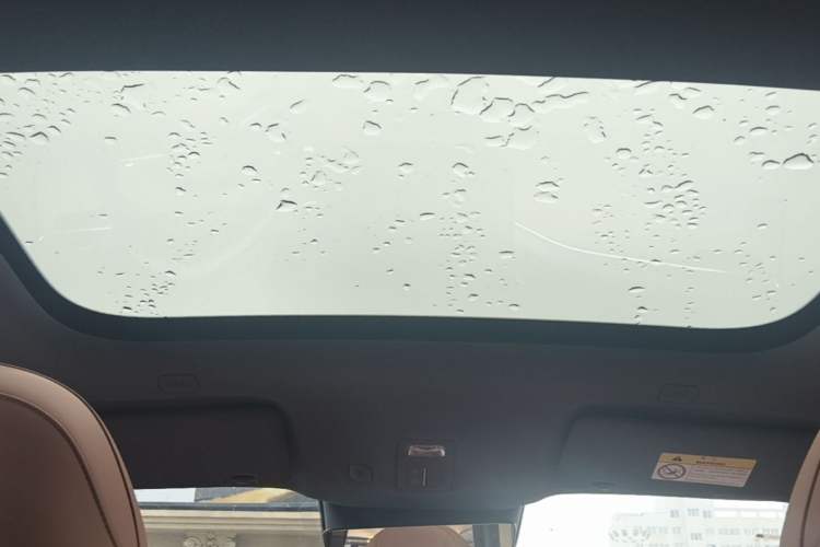 Used Hima H5 2025 Model Pure Electric Max Long Range Headliner