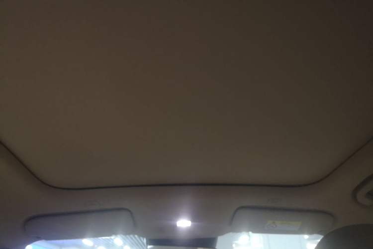 Used Hima H5 2025 Model Pure Electric Max Long Range Headliner