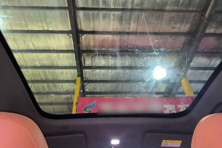 Used Hima H5 2025 Model Pure Electric Max Long Range Headliner