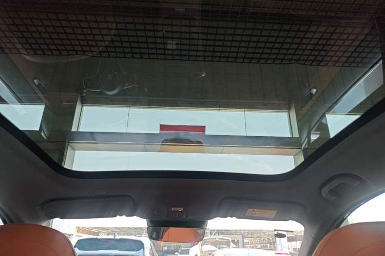 Used Hima H5 2025 Model Pure Electric Max Long Range Headliner